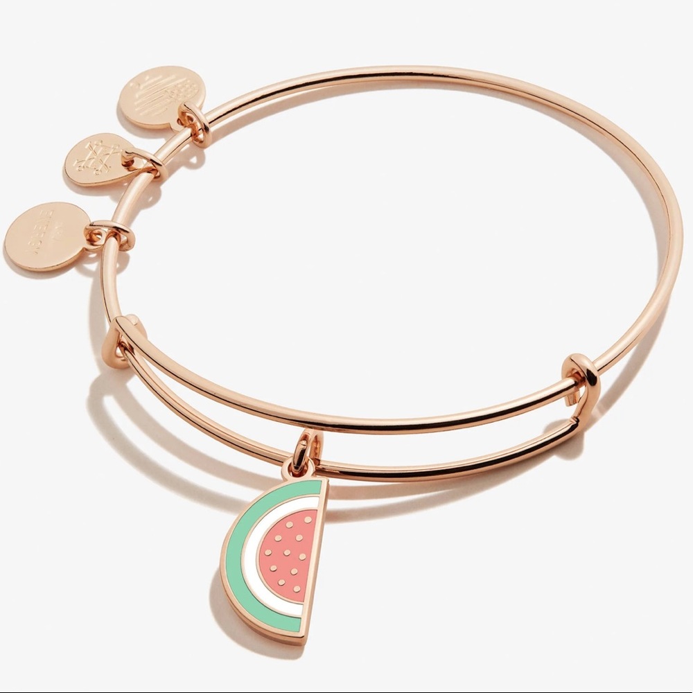 •NIP•Alex and Ani Expandable Watermelon Charm Bangle- ‘Shiny Rose Gold’